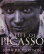 Life Of Picasso Volume Iii - Preview