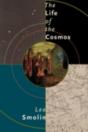 Life Of The Cosmos - Preview