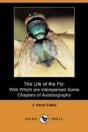 Life Of The Fly - Preview