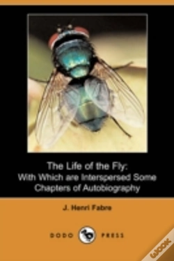 Capa do artigo Life Of The Fly