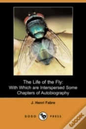 Capa do artigo Life Of The Fly