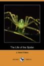 Life Of The Spider (Dodo Press) - Preview