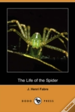 Capa do artigo Life Of The Spider (Dodo Press)