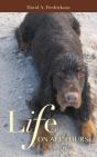 Life On All Fours - Preview
