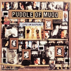Capa do artigo Life On Display - Vinil