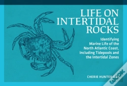Capa do artigo Life On Intertidal Rocks