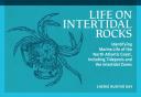 Life On Intertidal Rocks