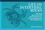 Life On Intertidal Rocks - Preview
