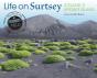 Life On Surtsey - Preview