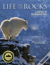Capa do artigo Life On The Rocks