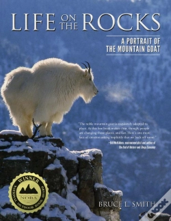 Capa do artigo Life On The Rocks