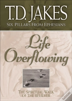 Capa do artigo Life Overflowing (Six Pillars From Ephesians Book #4)