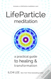 Capa do artigo Life Particle Meditation