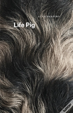 Capa do artigo Life Pig