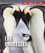 Life Processes - Preview
