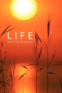 Life - Preview