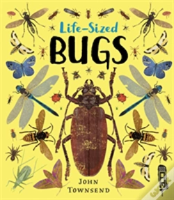 Capa do artigo Life-Sized Bugs