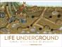 Life Underground - Preview