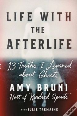 Capa do artigo Life With The Afterlife
