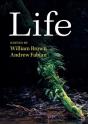 Life - Preview
