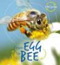 Lifecycles: Egg To Bee - Preview