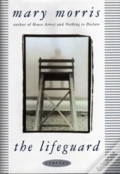 Capa do artigo Lifeguard