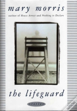 Capa do artigo Lifeguard