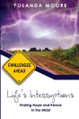 Life'S Interruptions - Preview