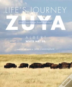 Capa do artigo Life'S Journey - Zuya