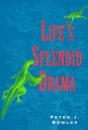 Life'S Splendid Drama - Preview