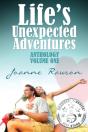 Life'S Unexpected Adventures - Preview