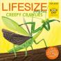 Lifesize Creepy Crawlies (World Book Day 2023 - 50 Pack) - Preview