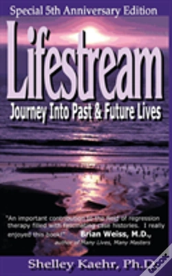 Capa do artigo Lifestream