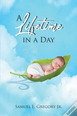 Capa do artigo Lifetime In A Day