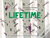 Capa do artigo Lifetime