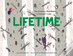 Capa do artigo Lifetime