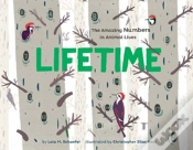 Capa do artigo Lifetime