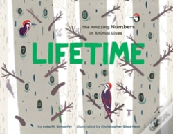 Capa do artigo Lifetime
