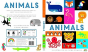 Lift The Flap - Animals - Preview