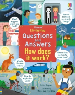 Capa do artigo Lift-The-Flap Questions & Answers How Does It Work?