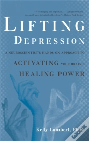 Capa do artigo Lifting Depression