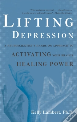 Capa do artigo Lifting Depression