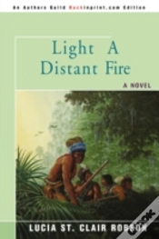 Capa do artigo Light A Distant Fire