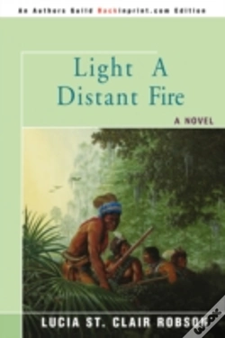Capa do artigo Light A Distant Fire