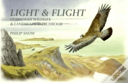 Capa do artigo Light And Flight