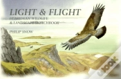 Capa do artigo Light And Flight