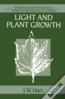 Light And Plant Growth