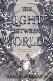Capa do artigo Light Between Worlds
