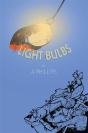 Light Bulbs - Preview