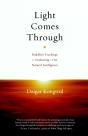Light Comes Through - Preview